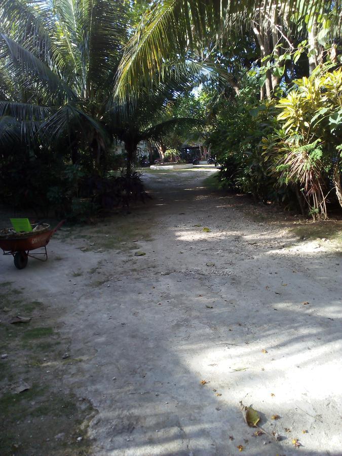 John Lhea Beach Cottages Siquijor Exterior foto